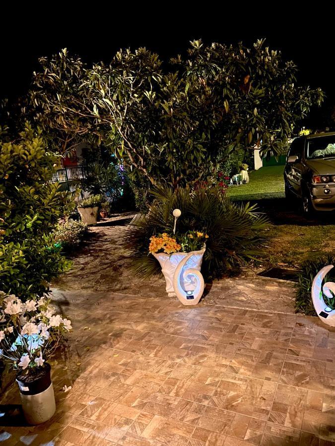 Casa Erceg Amor Vincit Omnia Skradin Exterior foto