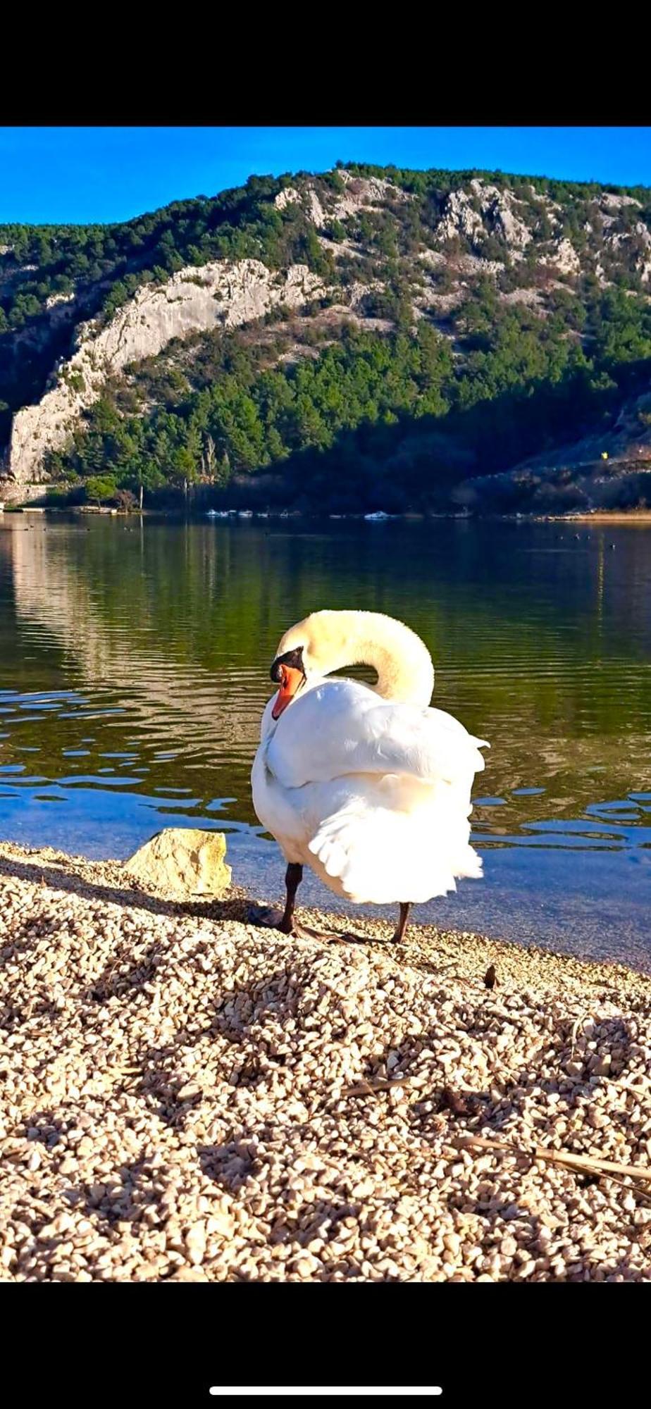 Casa Erceg Amor Vincit Omnia Skradin Exterior foto